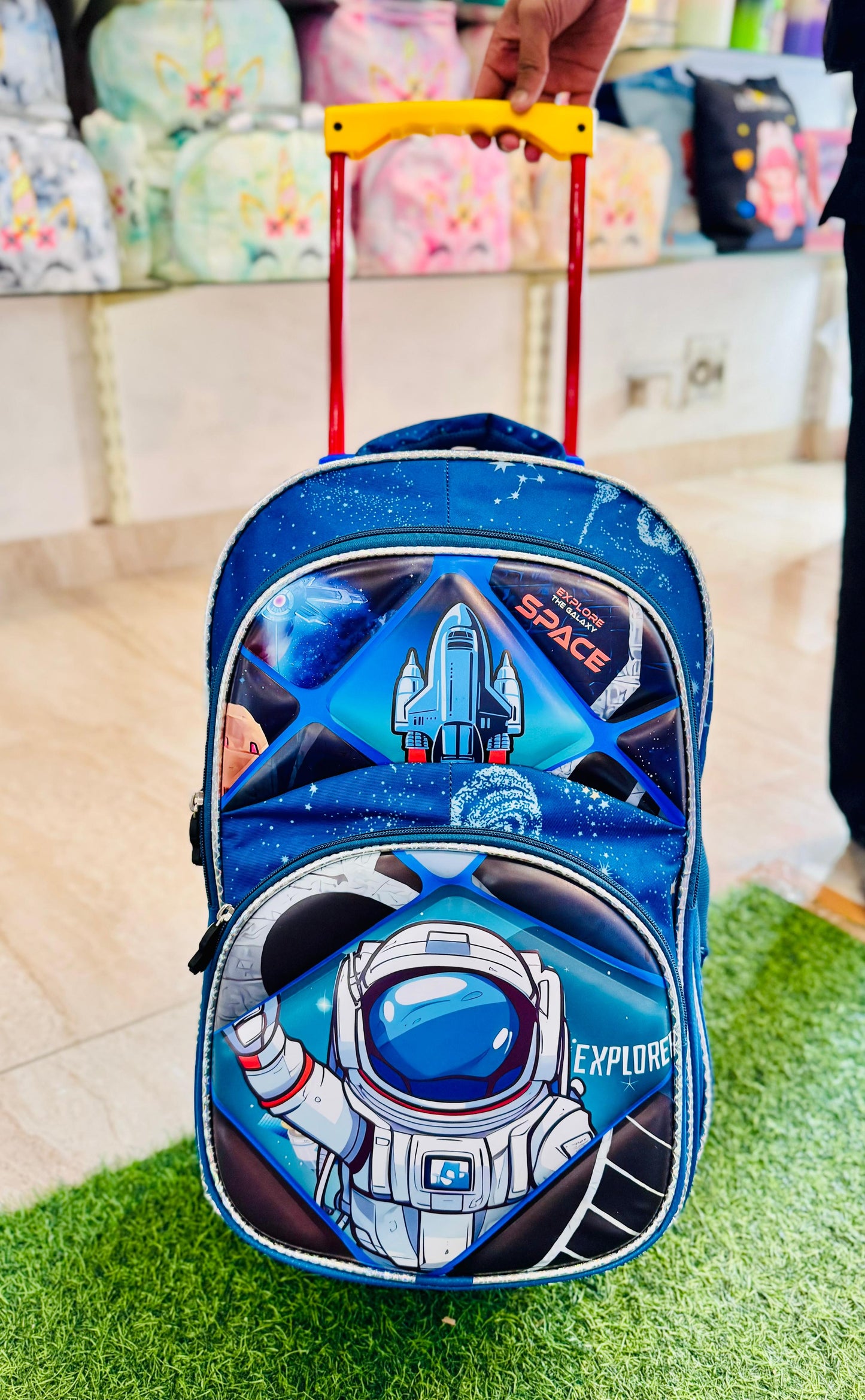 Trolley School Bag