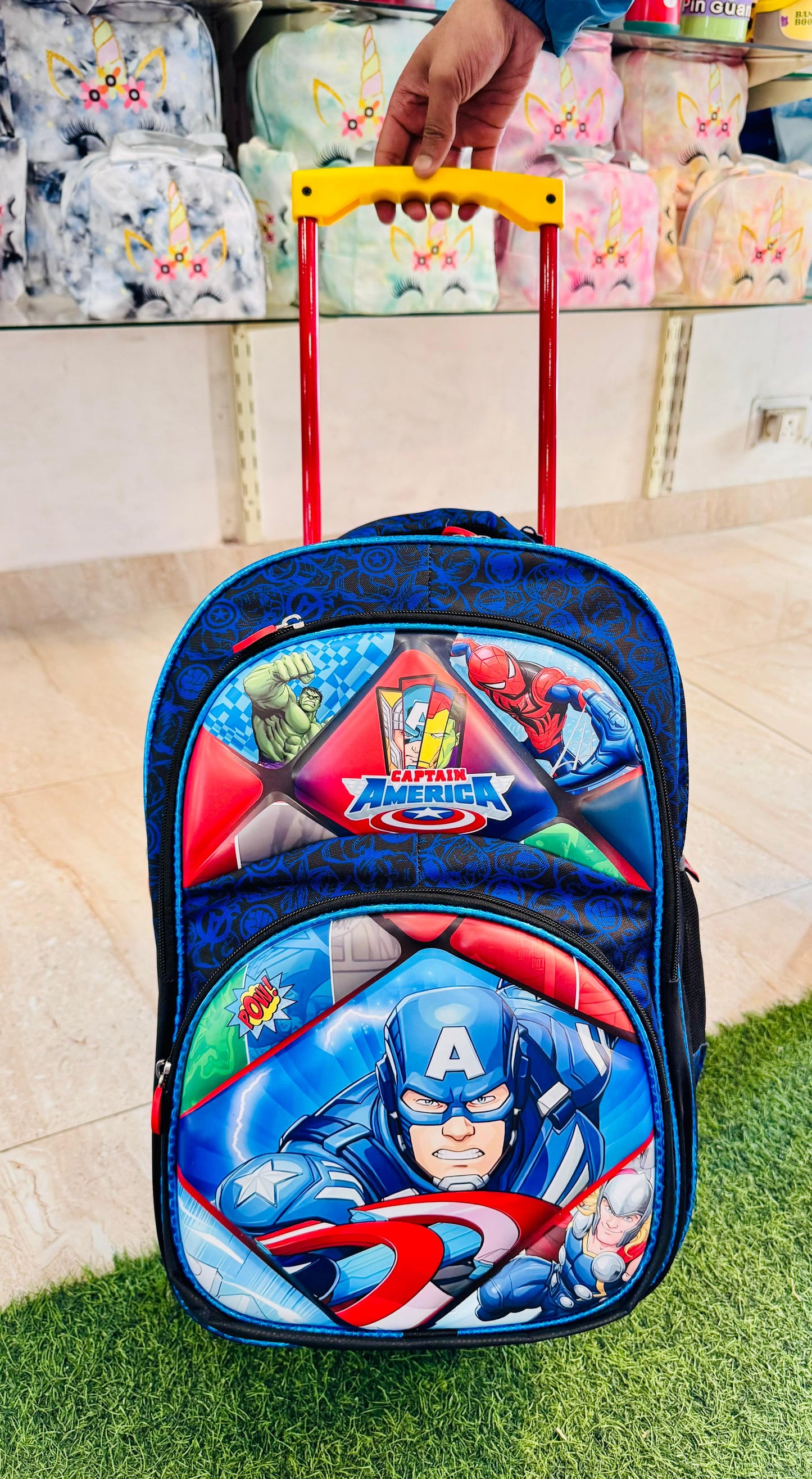 Trolley School Bag