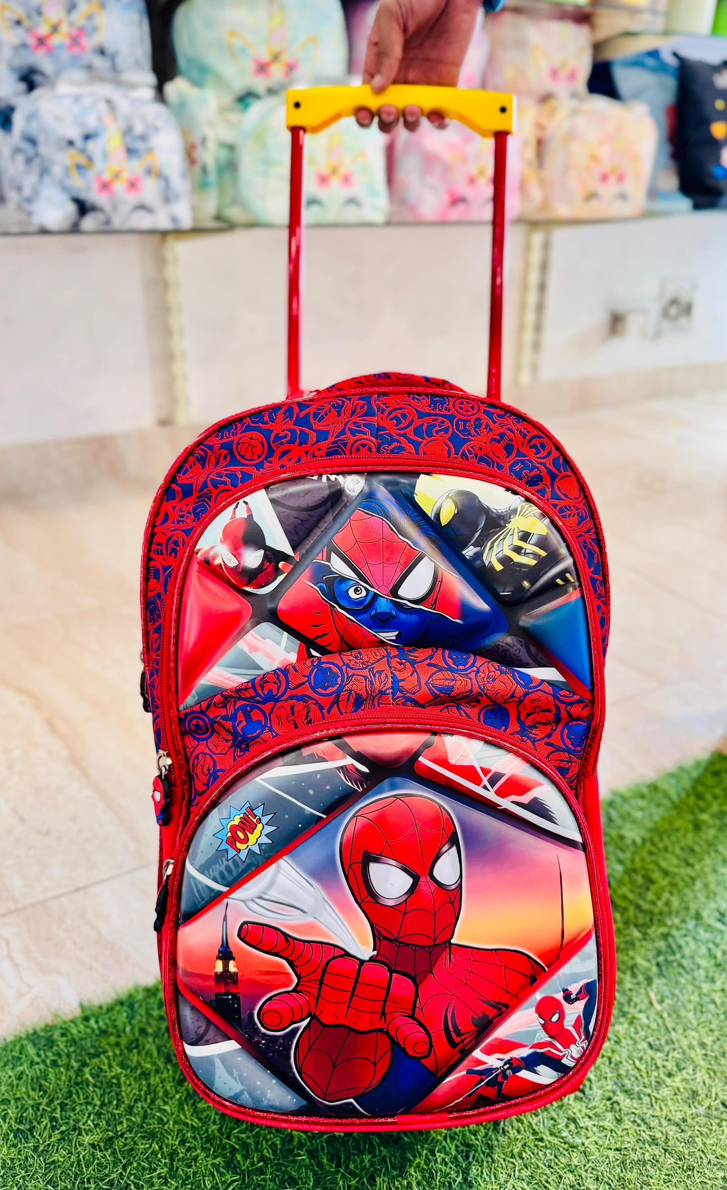 Trolley School Bag