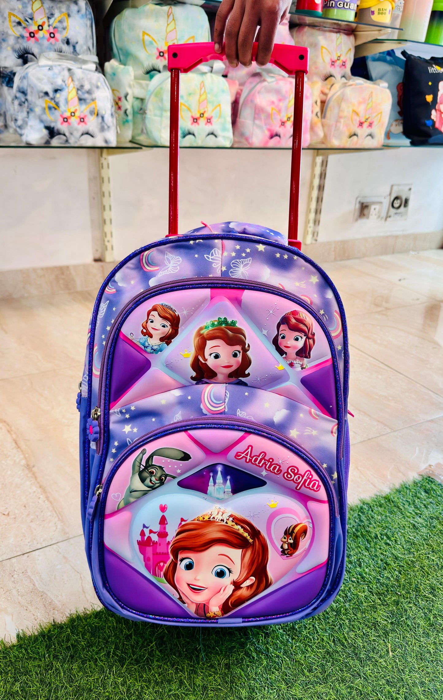 Trolley School Bag
